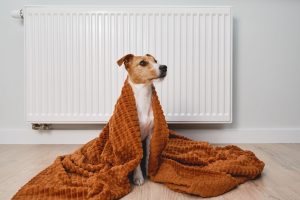 Read more about the article Convenient Ways to Keep Your Home Warmer in Winter