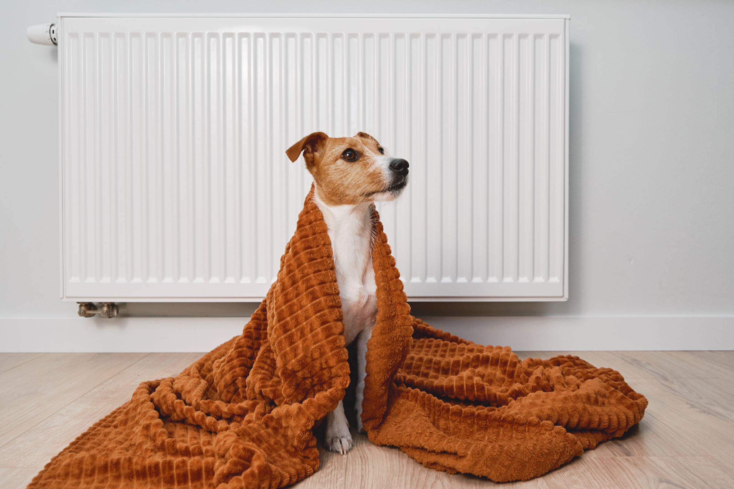 Read more about the article Convenient Ways to Keep Your Home Warmer in Winter