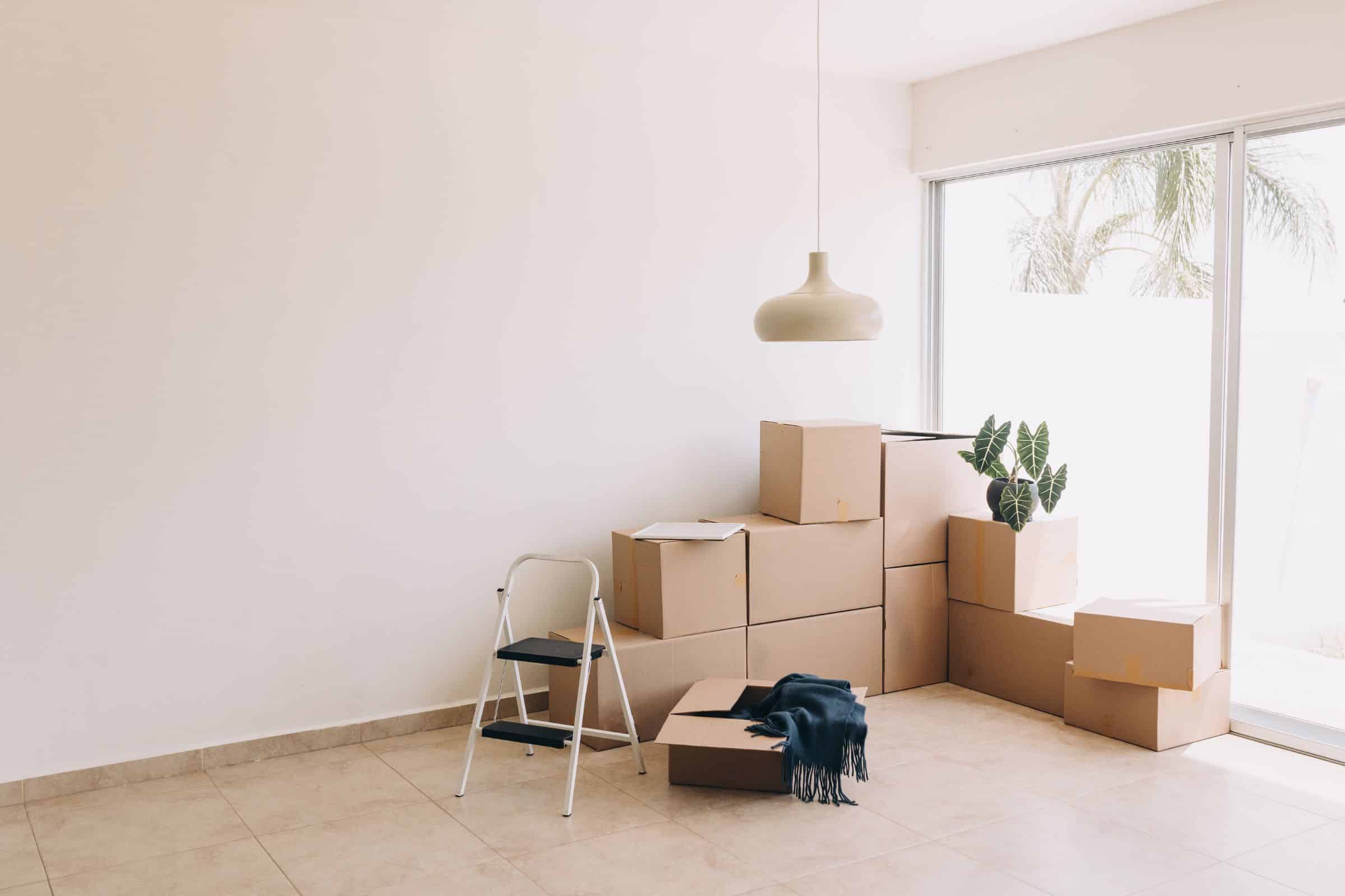 Read more about the article Moving Like A Pro: Packing Tips for a Smoother Move