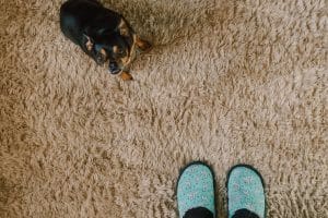 Read more about the article 5 Signs It’s Time To Replace Your Carpets