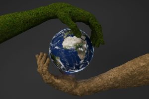 Read more about the article Careers That Help Make an Impact on the Planet