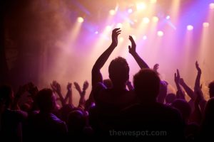 Read more about the article How Can You Steward & Contribute To A Loyal Fanbase?