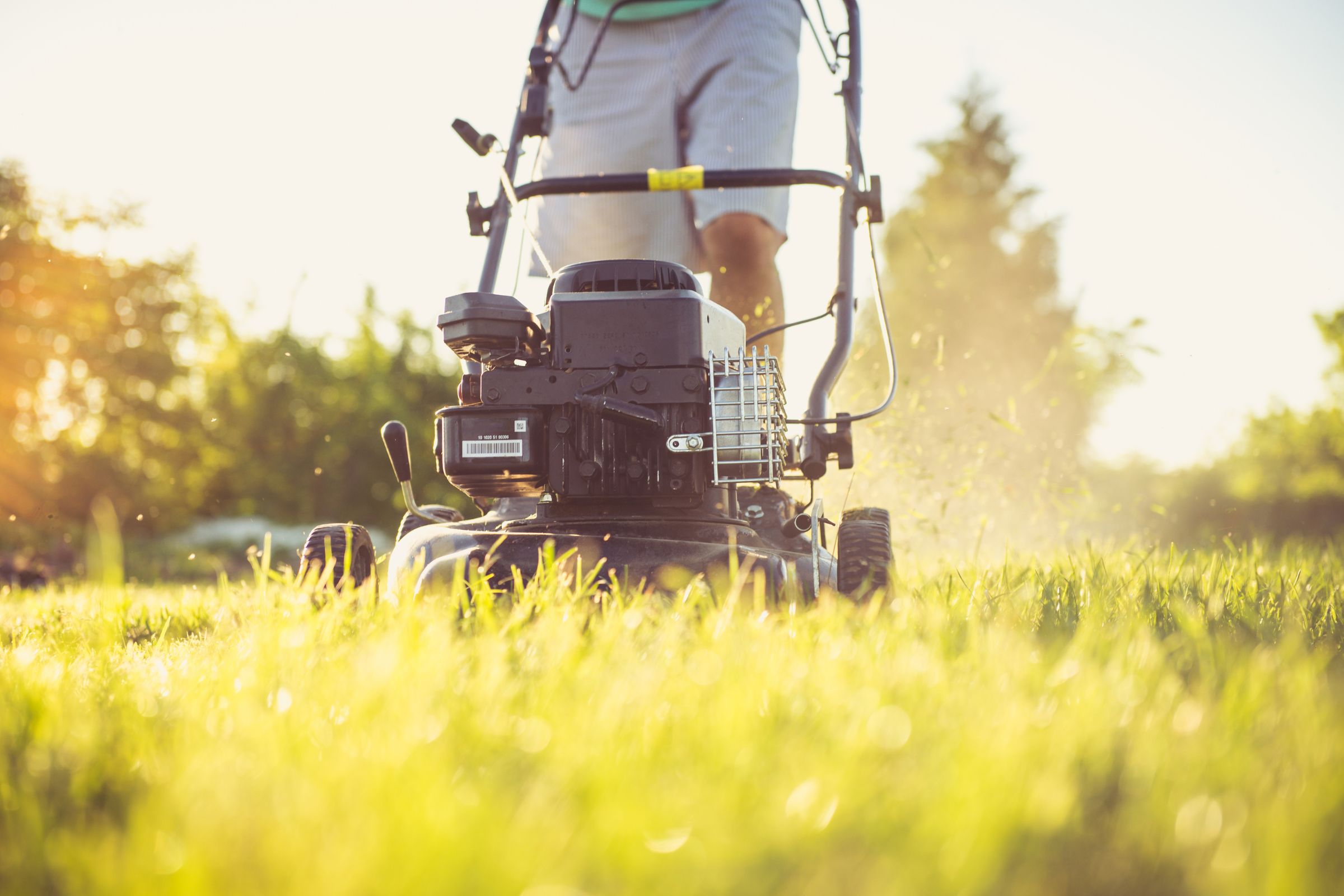 Read more about the article 7 Tips That Can Help You Save Money on Lawn Care