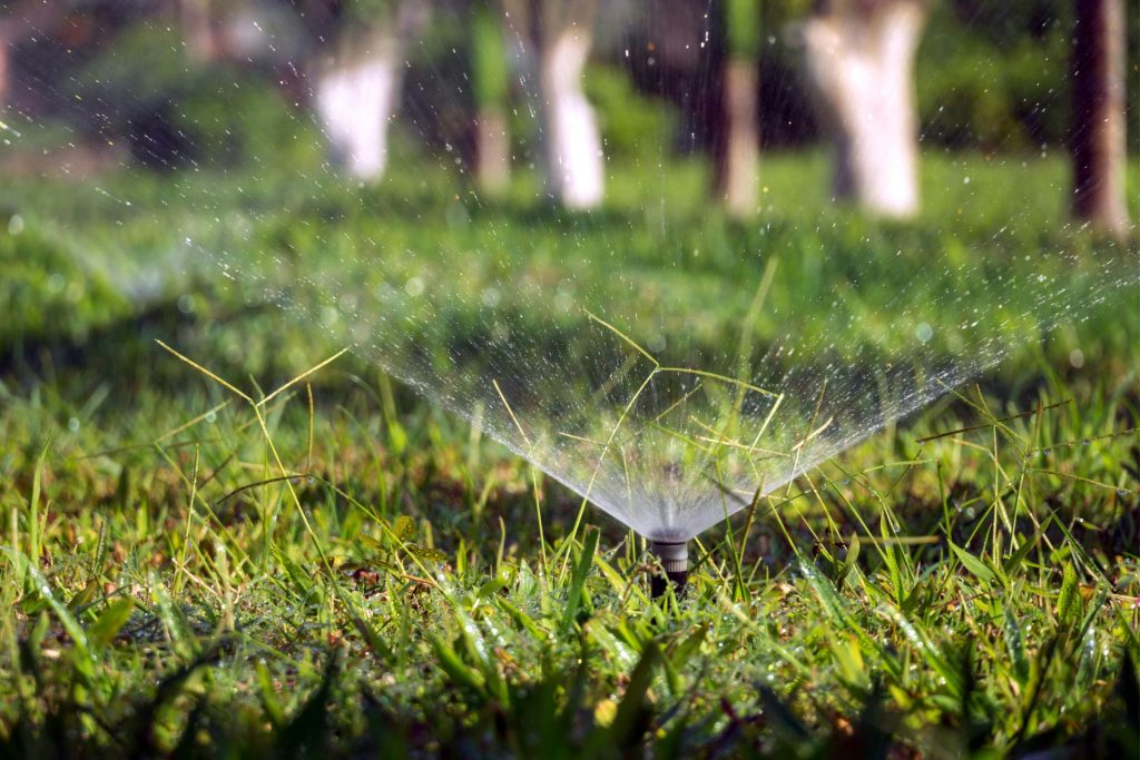 Sprinkler watering the grass. Save money on lawn care.