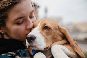 Read more about the article Top Pet Safety Tips Every Dog Owner Should Know