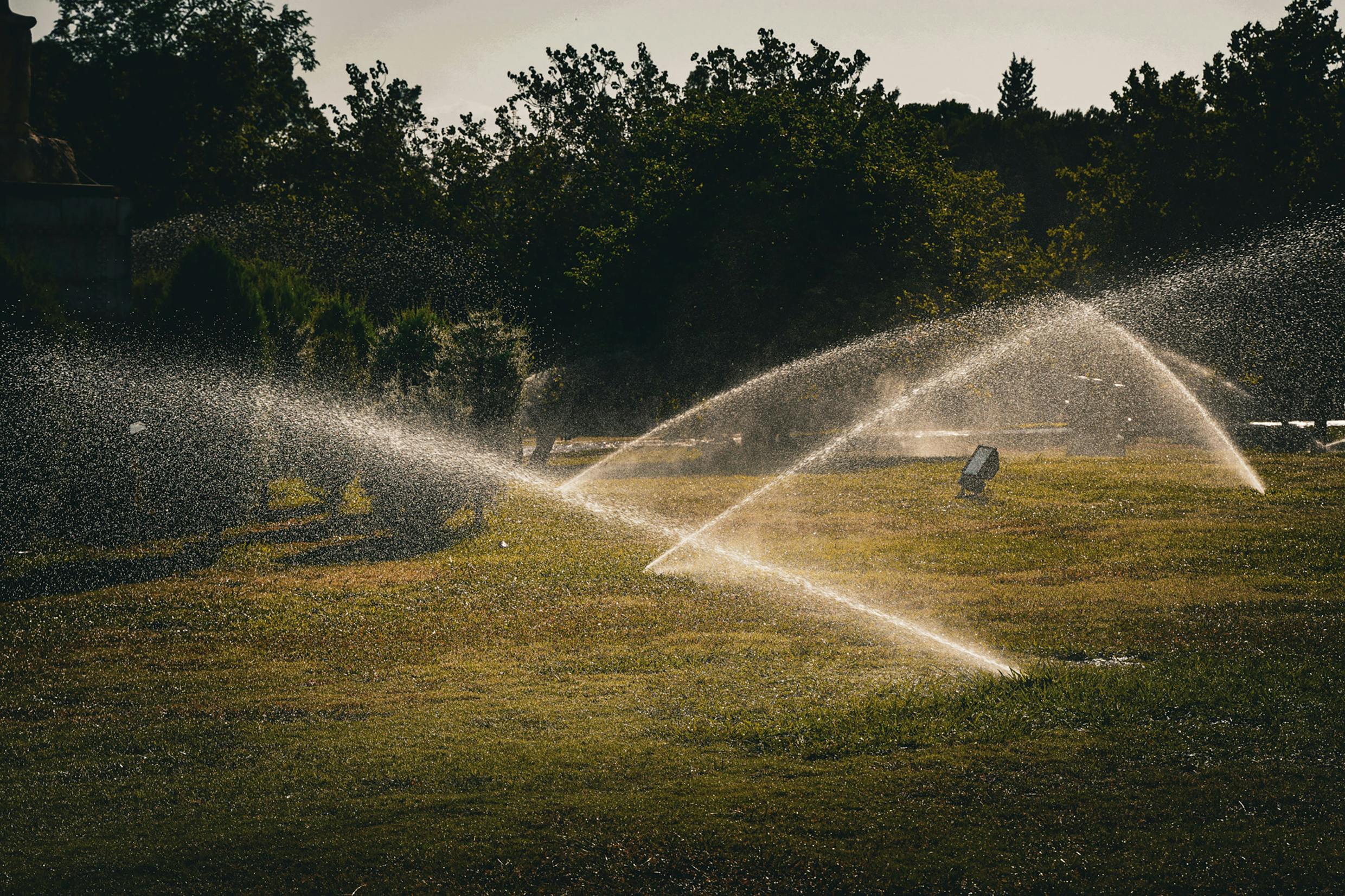 Read more about the article What To Know Before Installing A Lawn Sprinkler System
