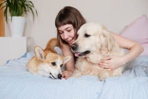 Read more about the article Here’s How To Prepare Your Home For Pets
