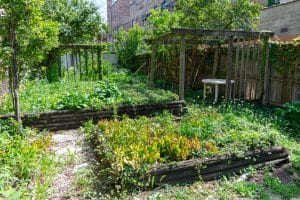 Read more about the article How To Restore A Damaged, Unloved, Neglected Garden