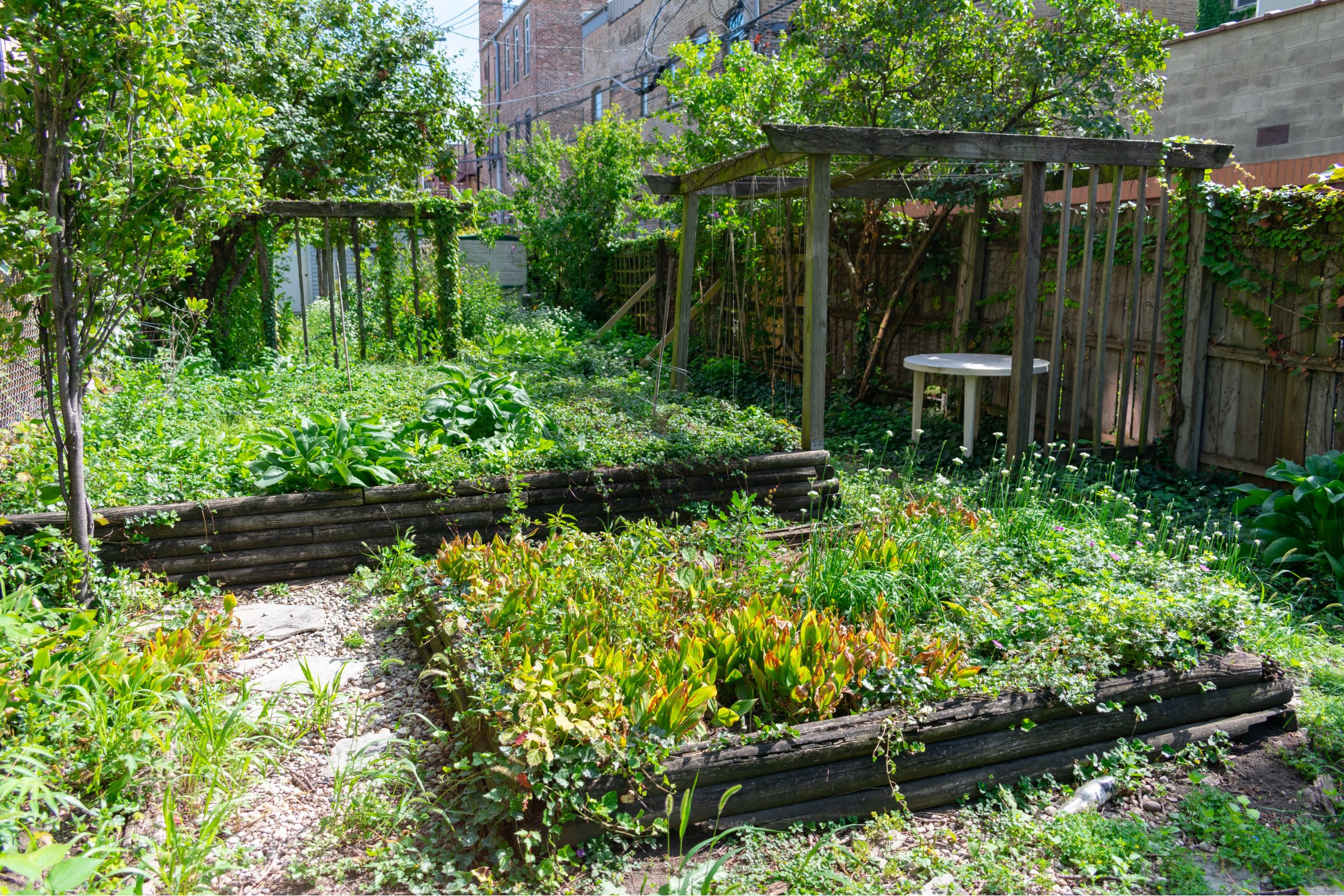 Read more about the article How To Restore A Damaged, Unloved, Neglected Garden