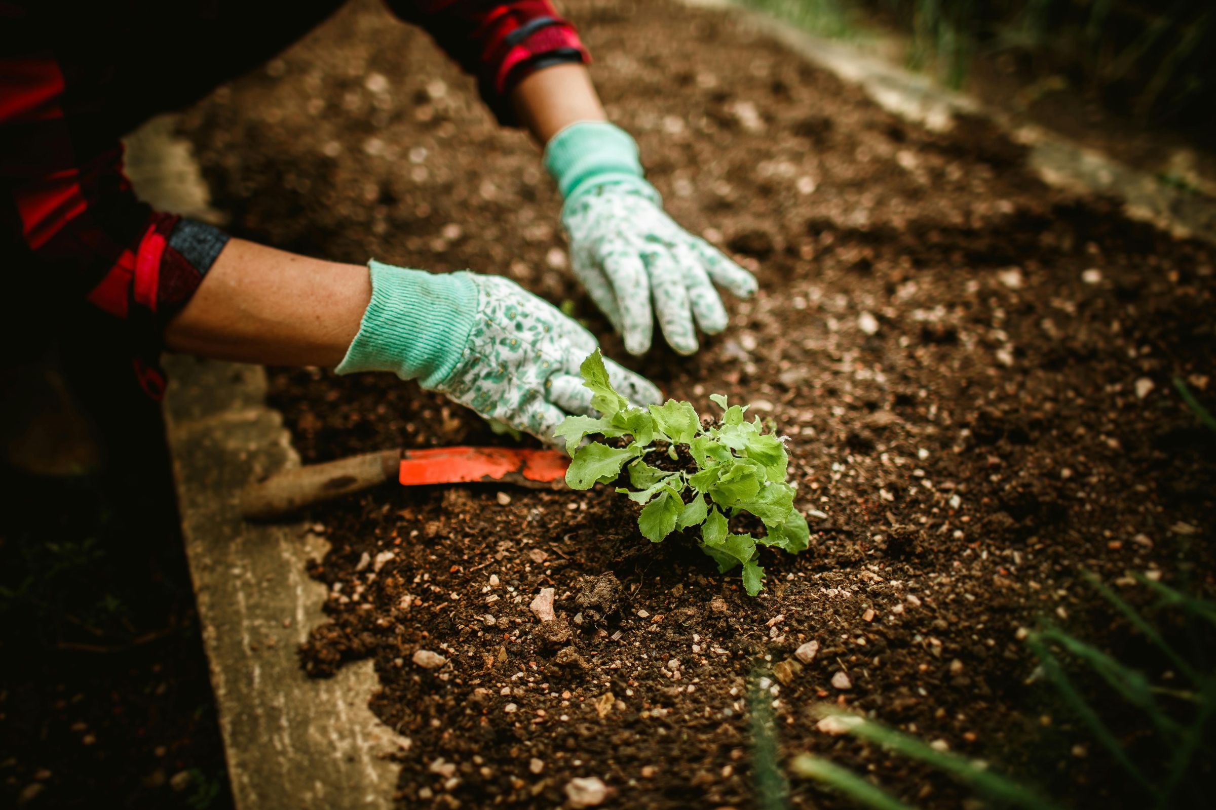 Read more about the article Easy Ways to Keep Your Garden in Good Shape