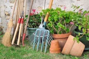 Read more about the article New To Gardening? These Are The Tools You’ll Need