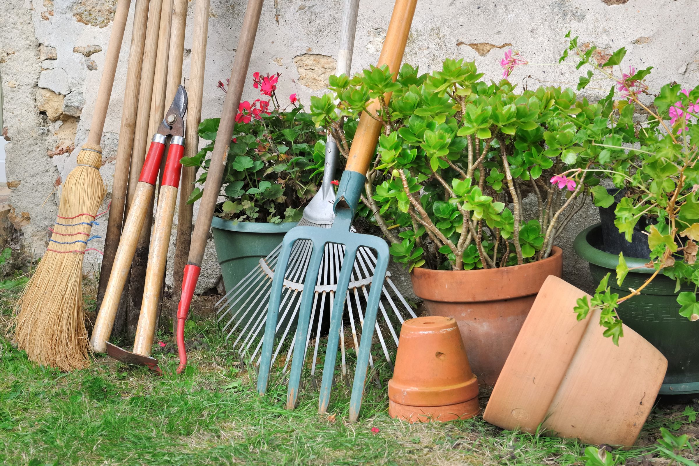 Read more about the article New To Gardening? These Are The Tools You’ll Need