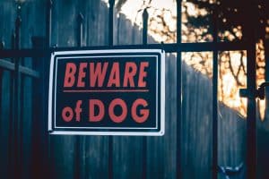 Read more about the article Home Defense 101: Simple and Solid Ways to Burglar-Proof Your Home