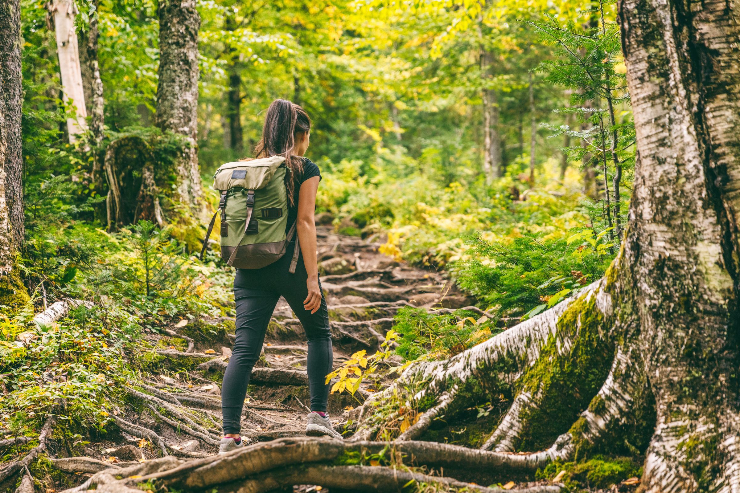 Read more about the article Why it’s Important to be Proactive With Your Health